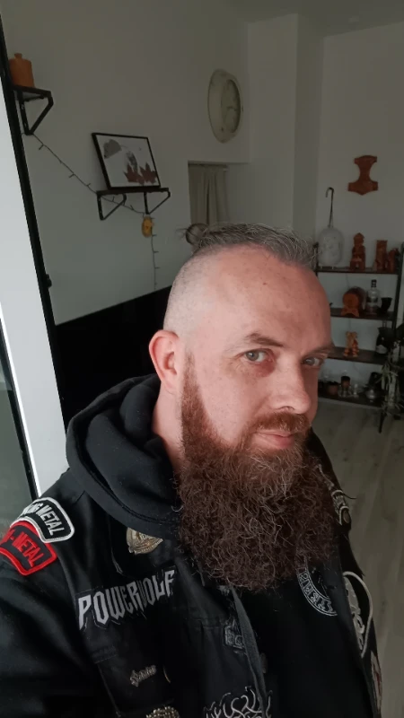 vikingsbeard