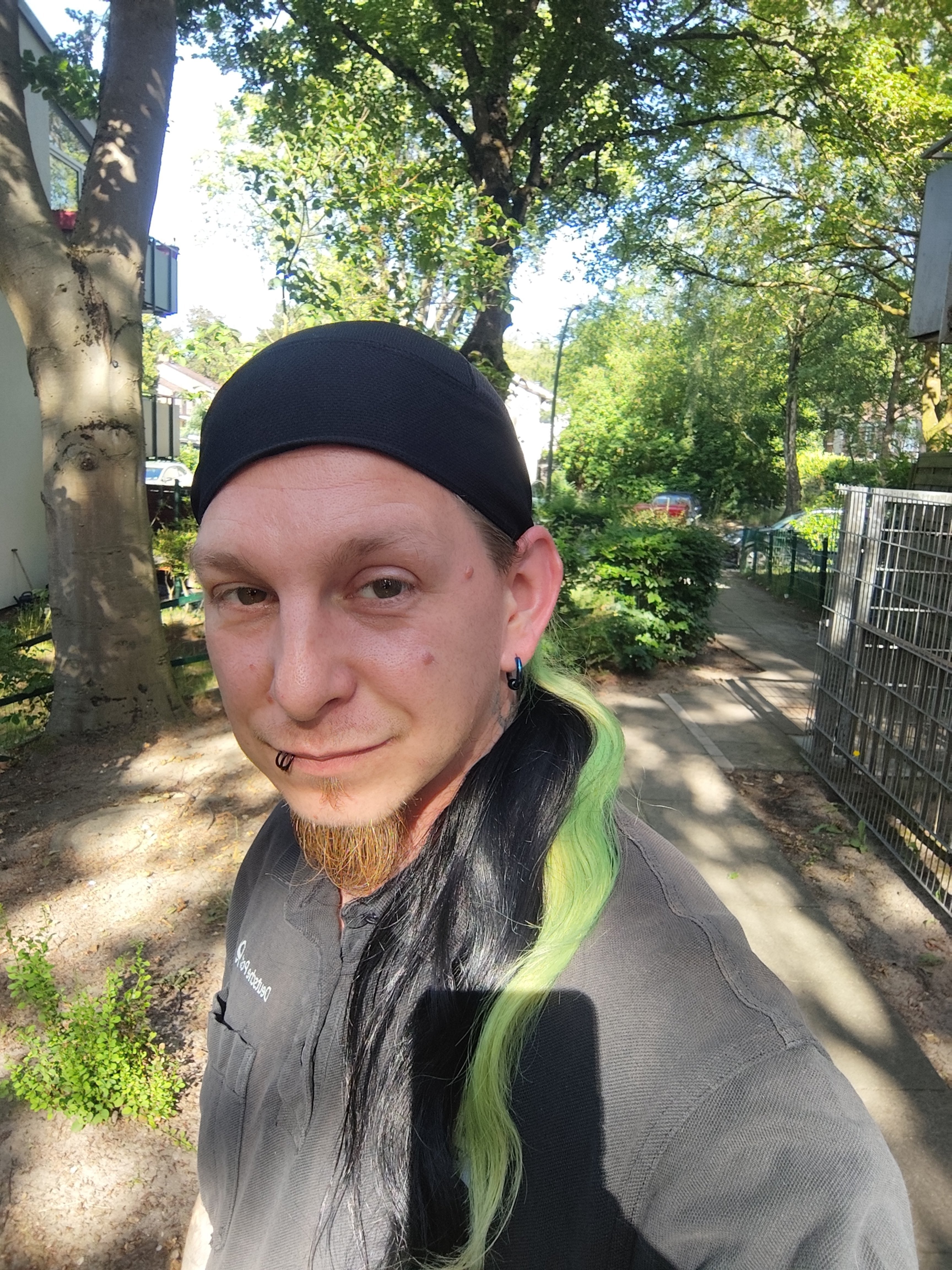 fleditestet