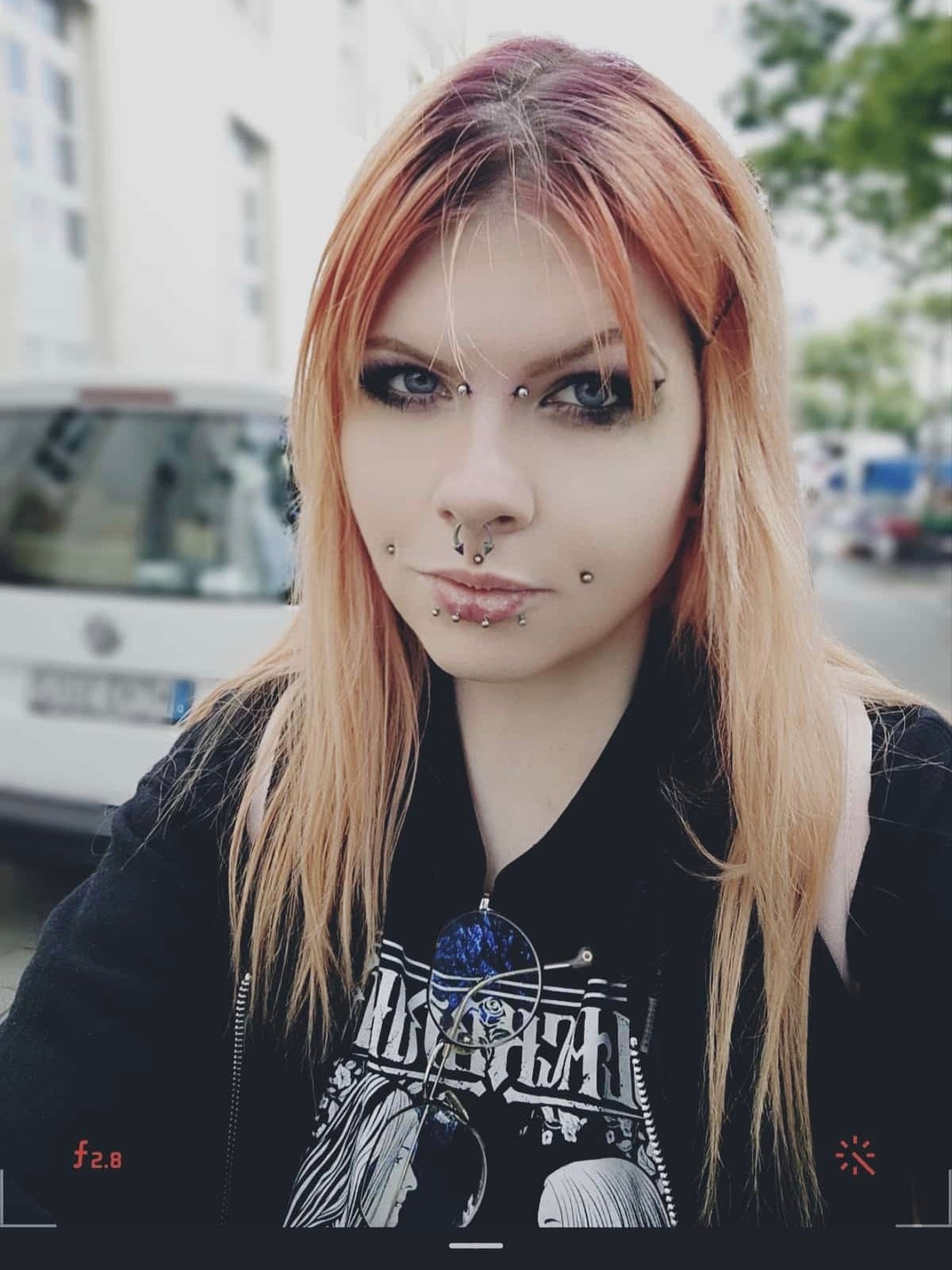roadkill